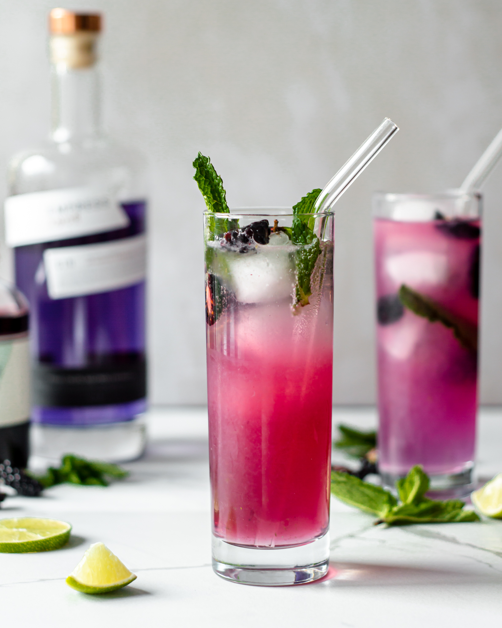 Blackberry & Mint Gin Rickey